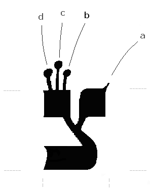 The Hebrew Letter Tsadik